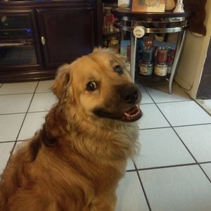 Meet your Posher, Kerri